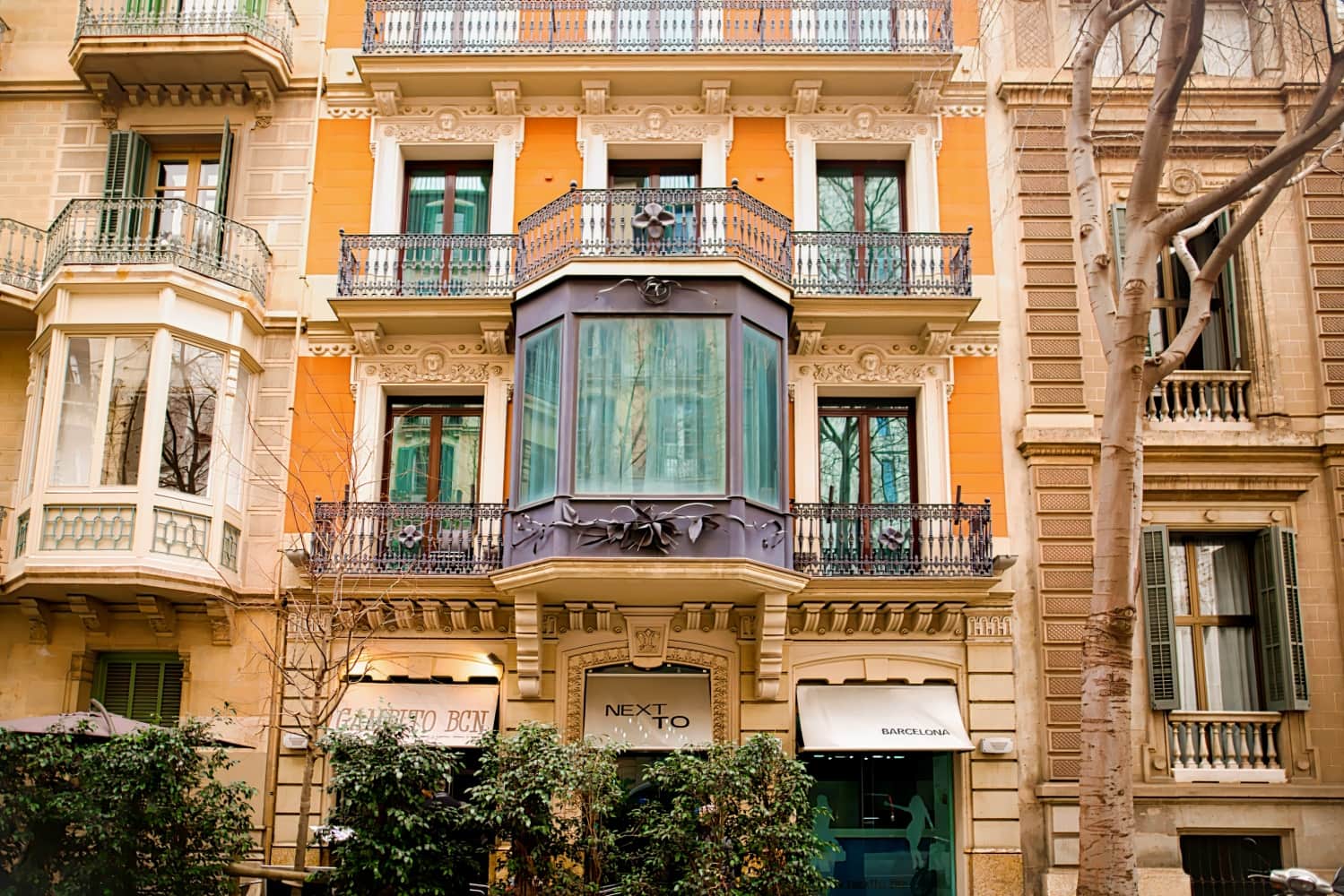Limonia