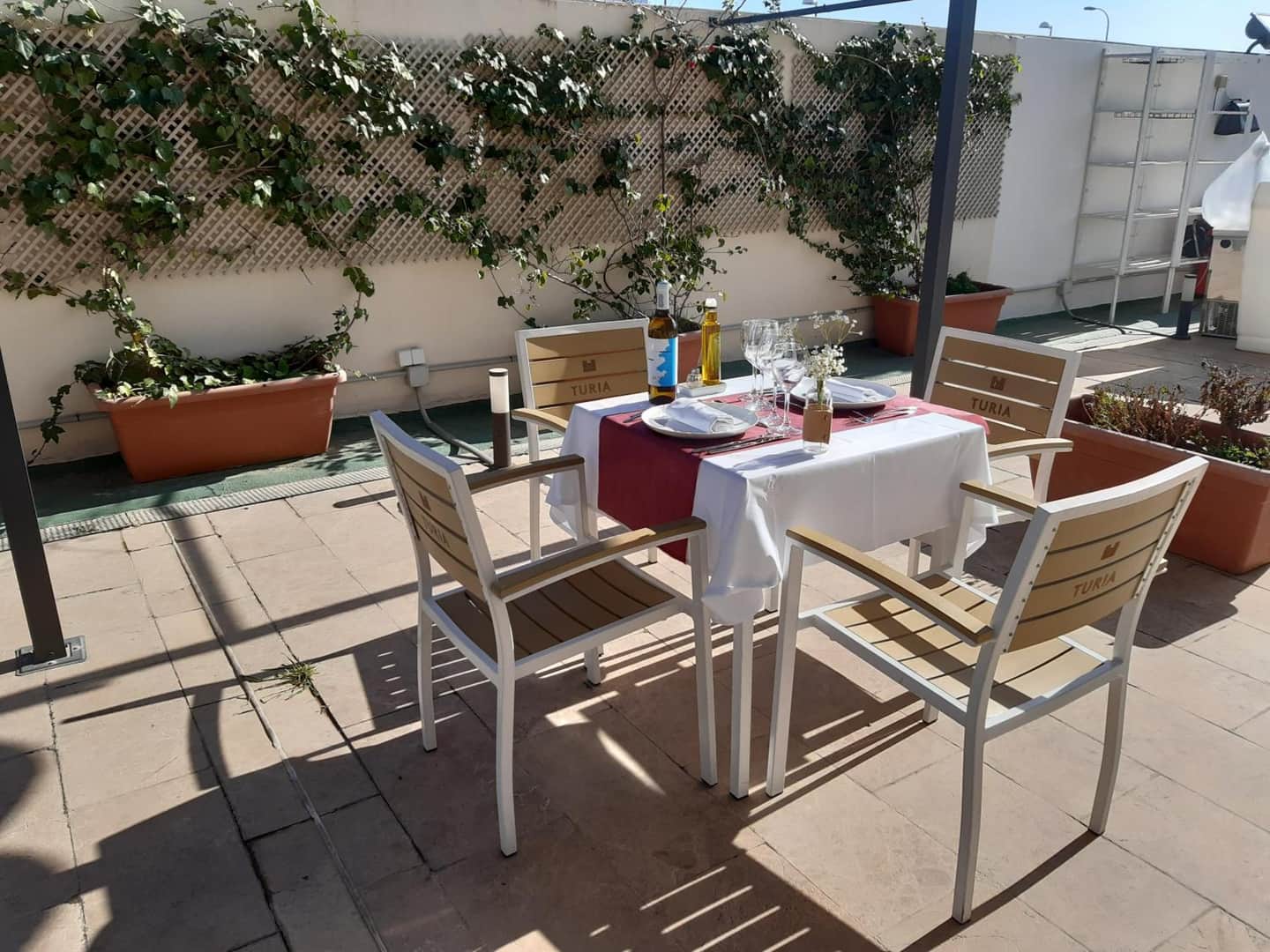 Xon's Valencia