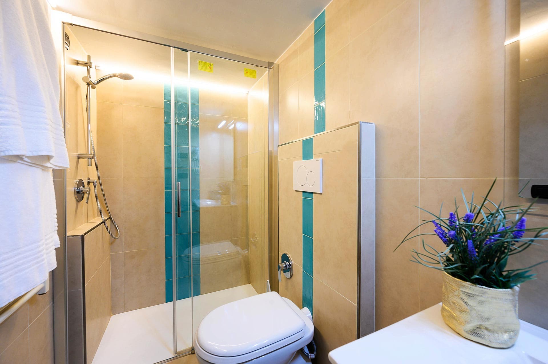 Gracchi Vatican View