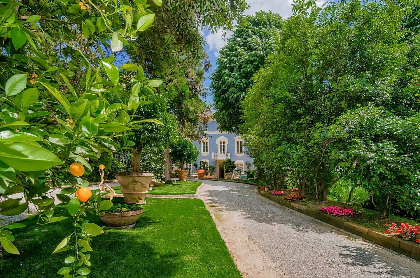 Resort dei Limoni