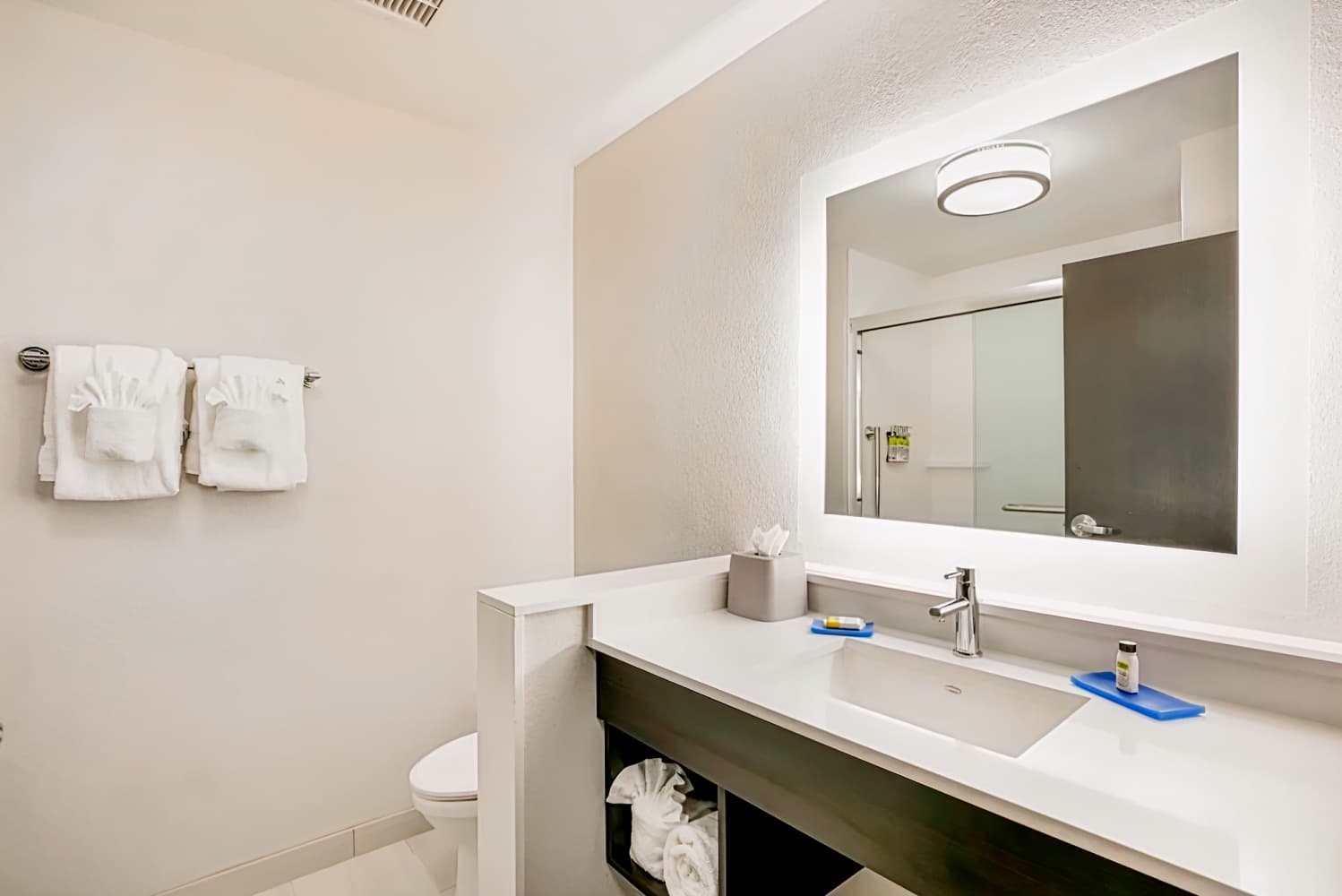 Holiday Inn Express & Suites - Jacksonville - Town Center