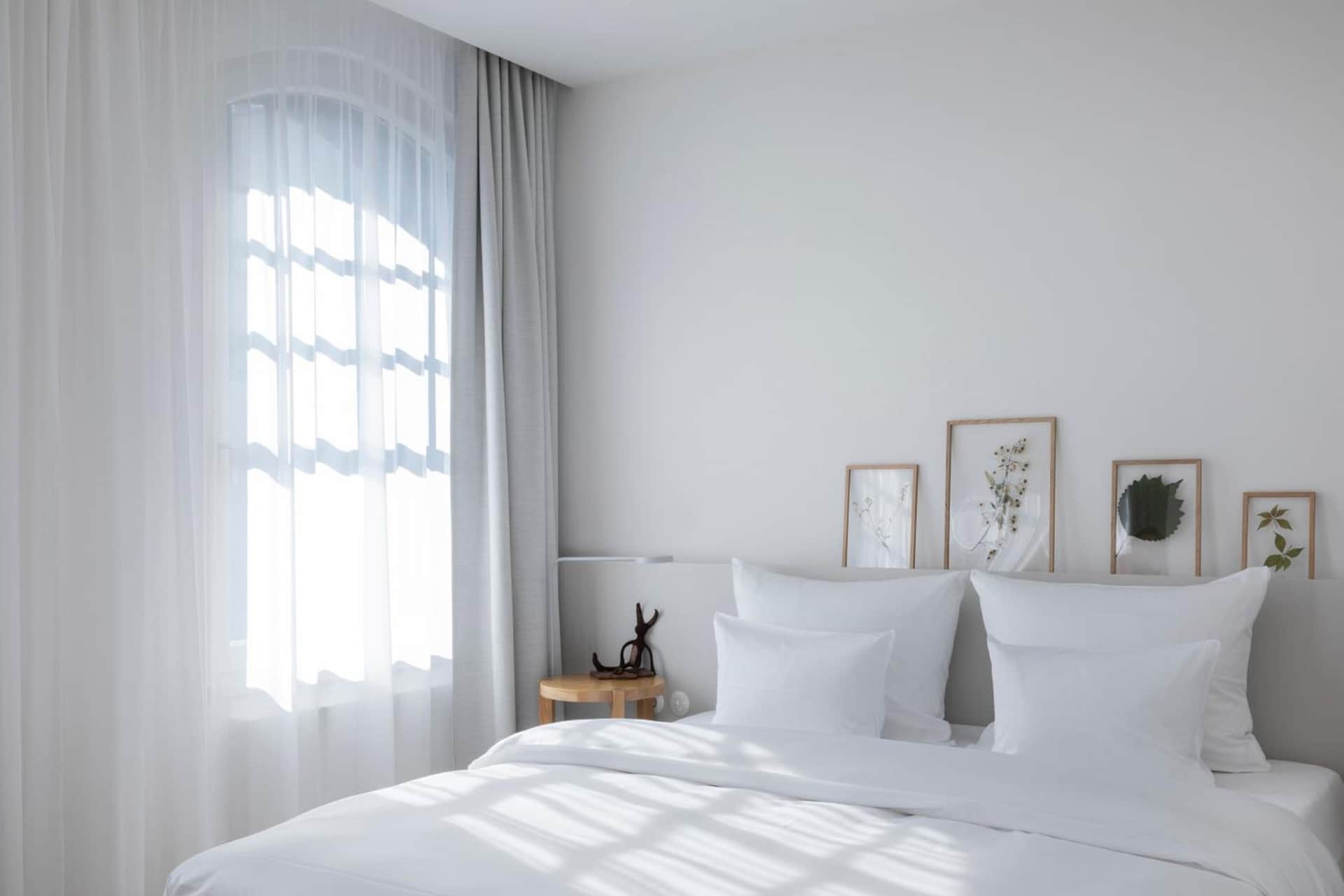 Wilmina Hotel