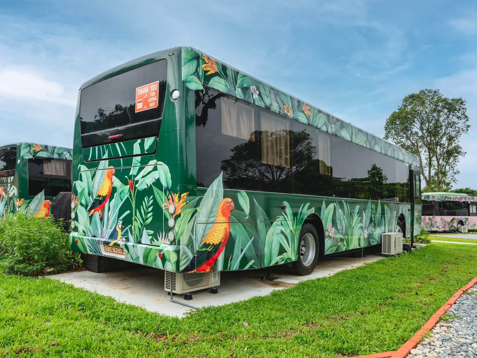 The Bus Collective