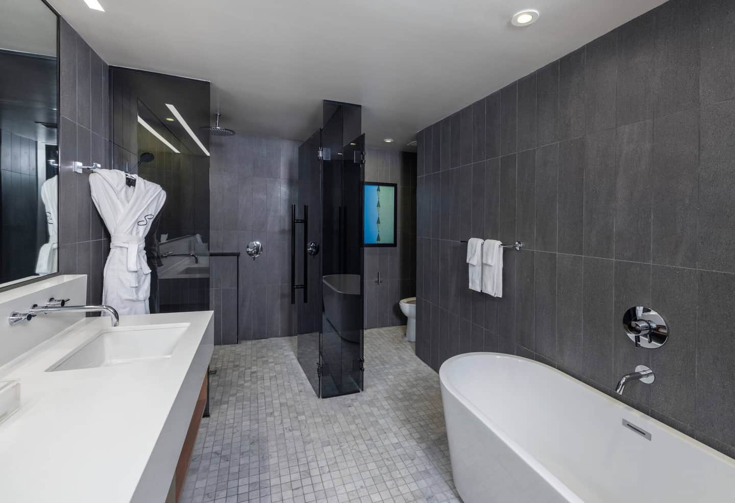 The Statler Dallas, Curio Collection By Hilton