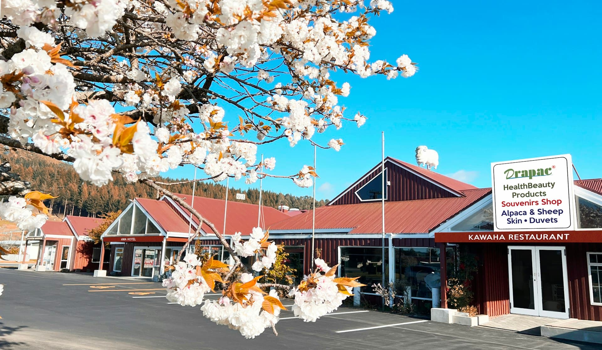 AWA Hotel