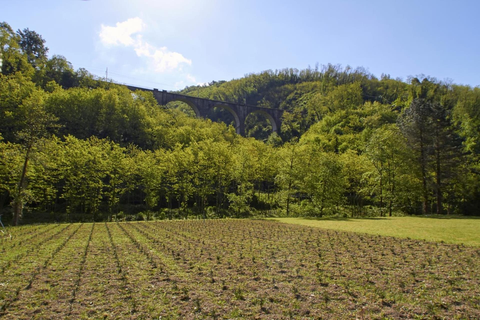 Podere Campofossato