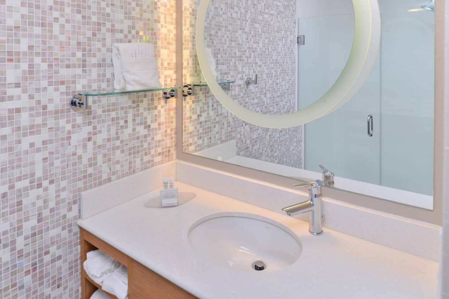 Springhill Suites by Marriott Detroit Metro Airport Romulus
