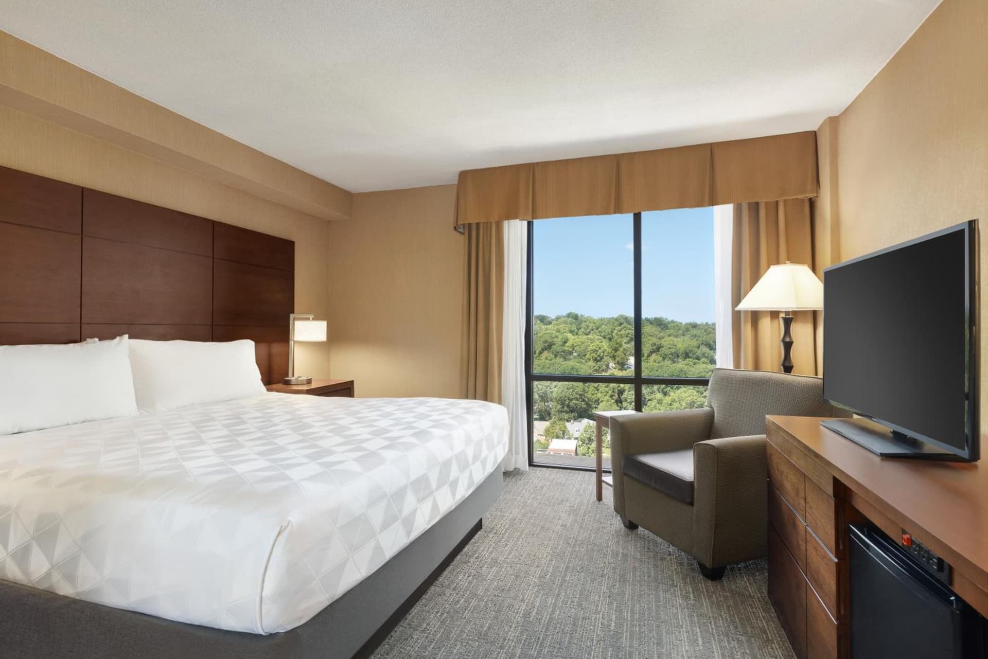 Holiday Inn - National Airport/Crystal City