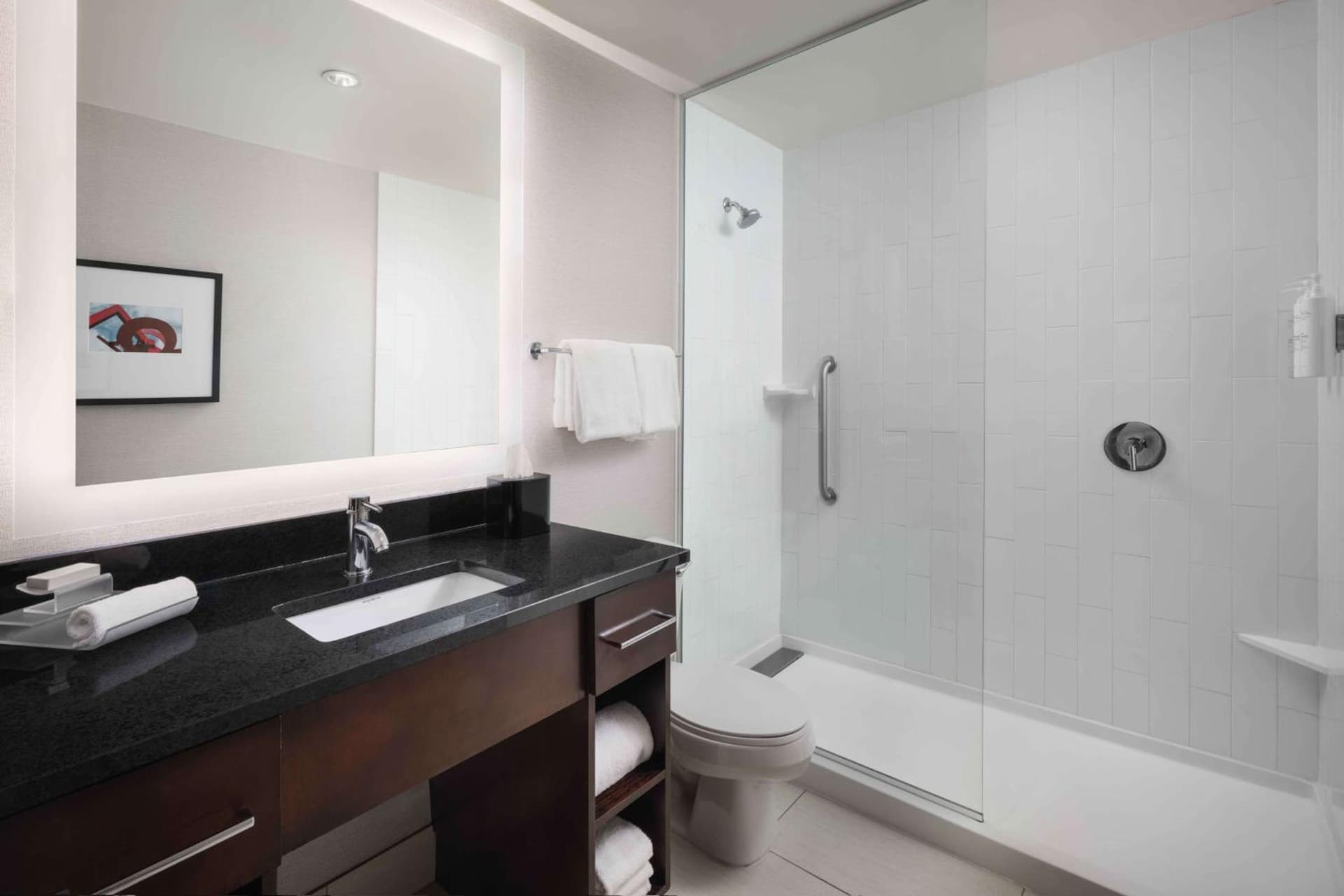 Homewood Suites by Hilton Denver Downtown-Convention Center