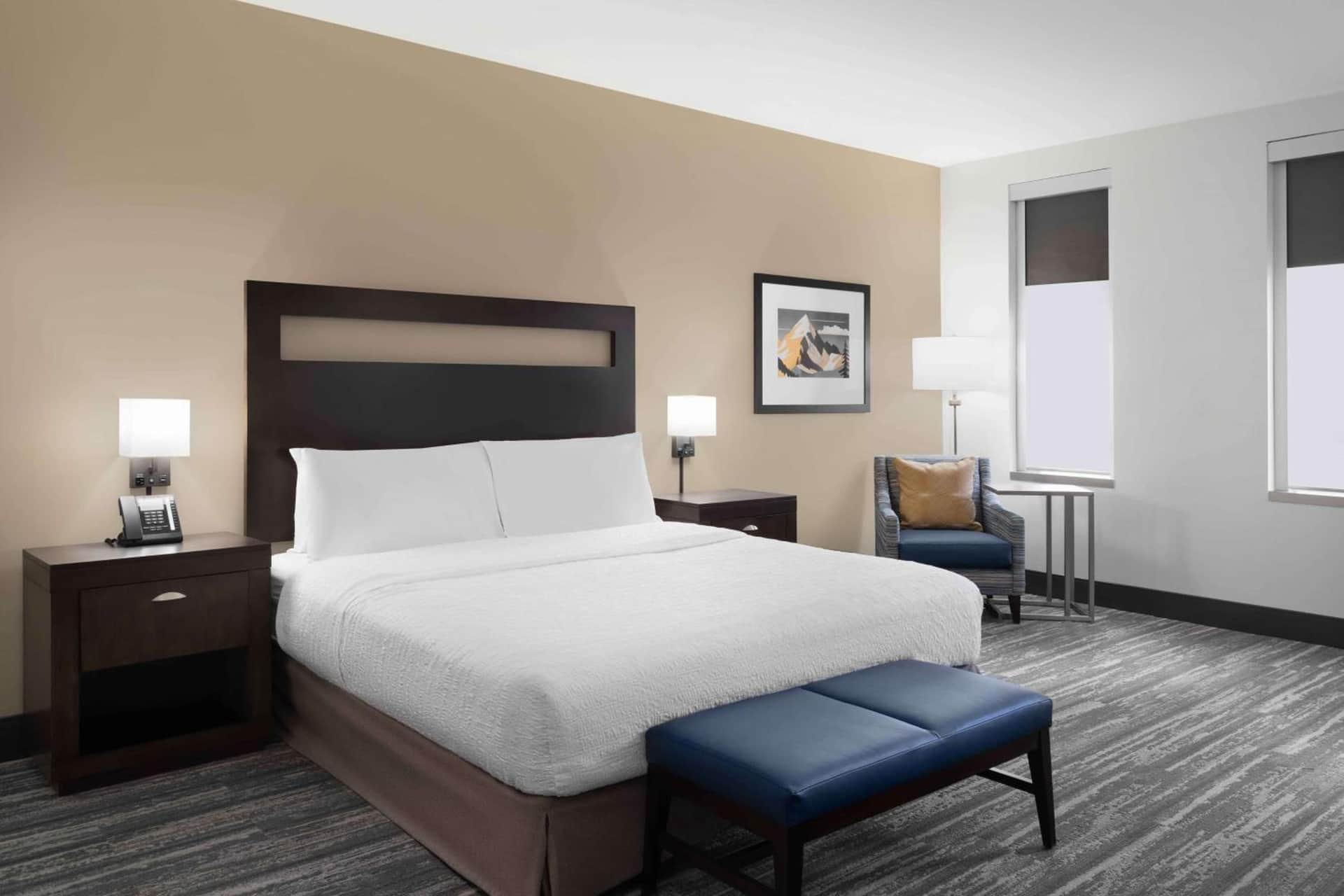 Hampton Inn & Suites Denver/Downtown-Convention Center