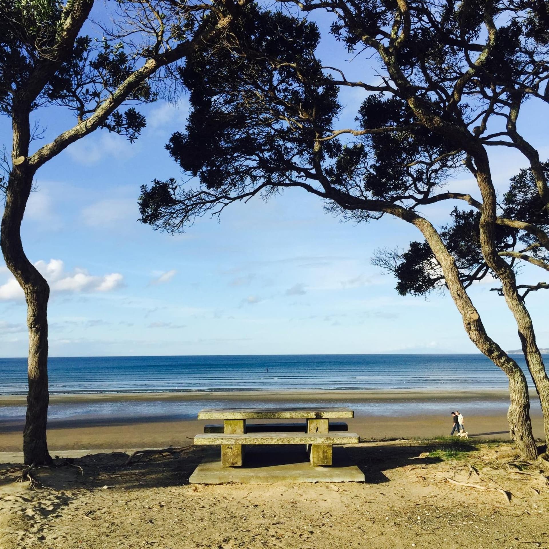 Orewa Beachcomber