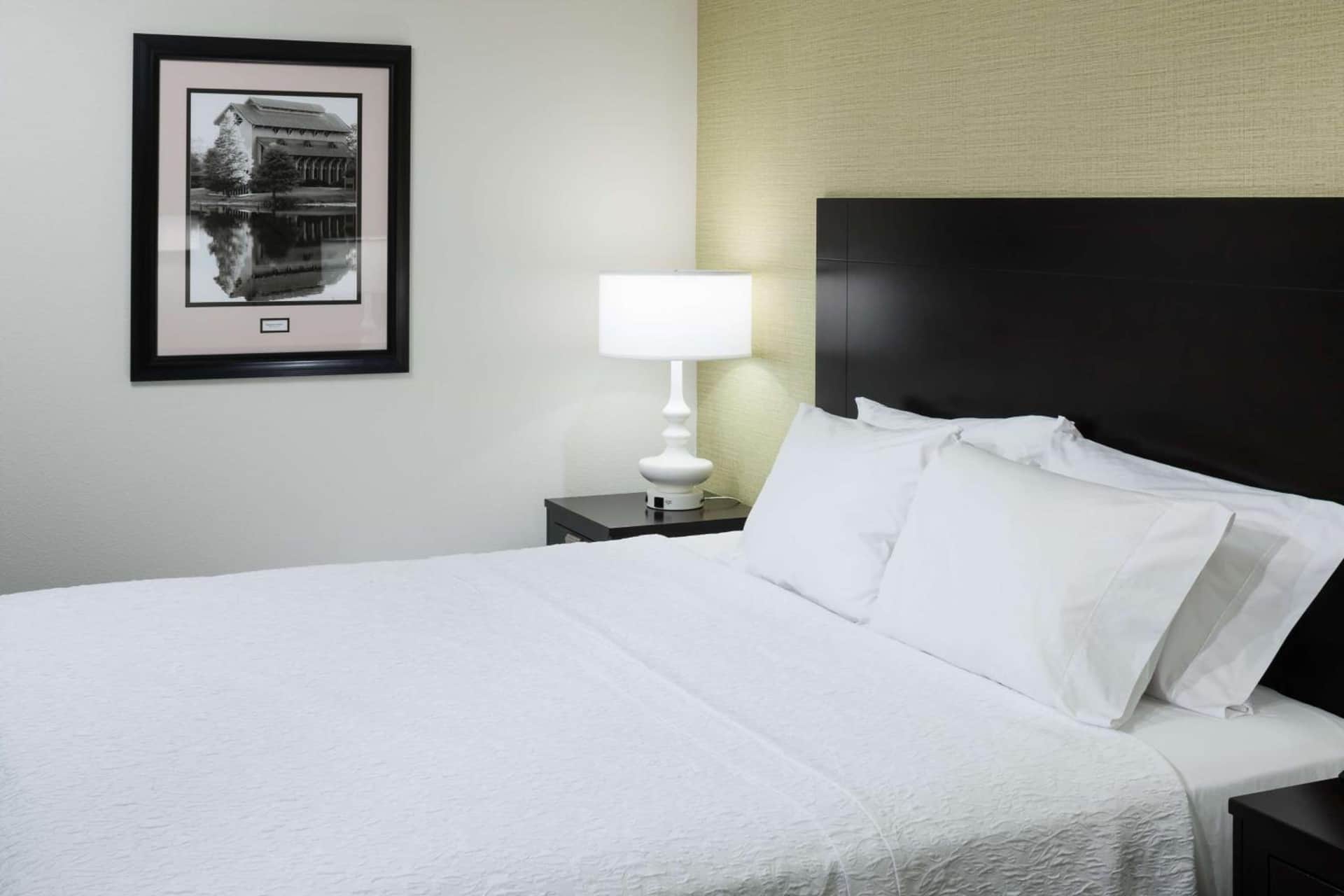 Hampton Inn Suites - Gainesville Downtown