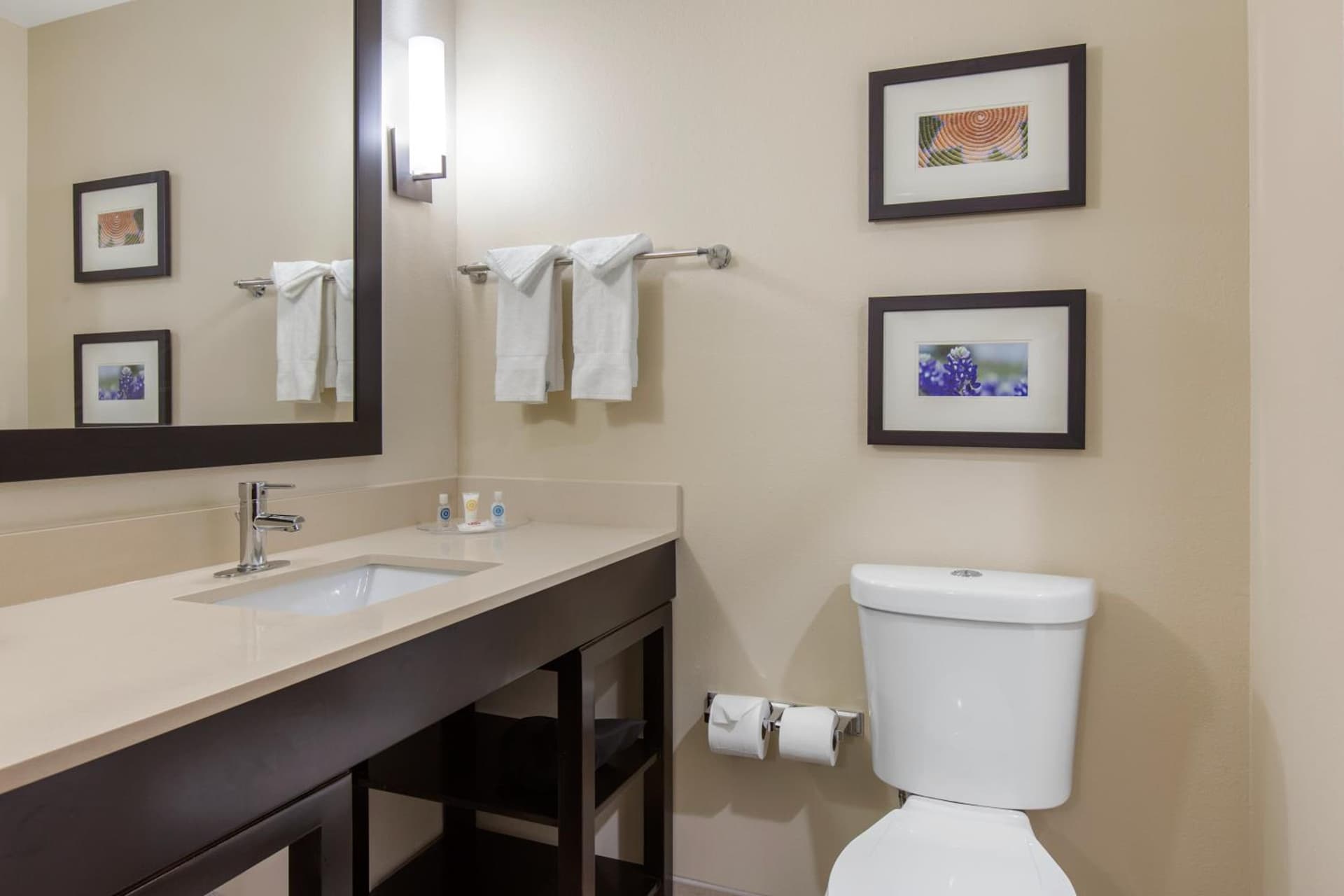 Comfort Suites - South Austin
